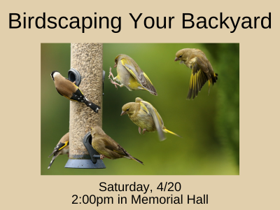 Birdscaping Your Backyard