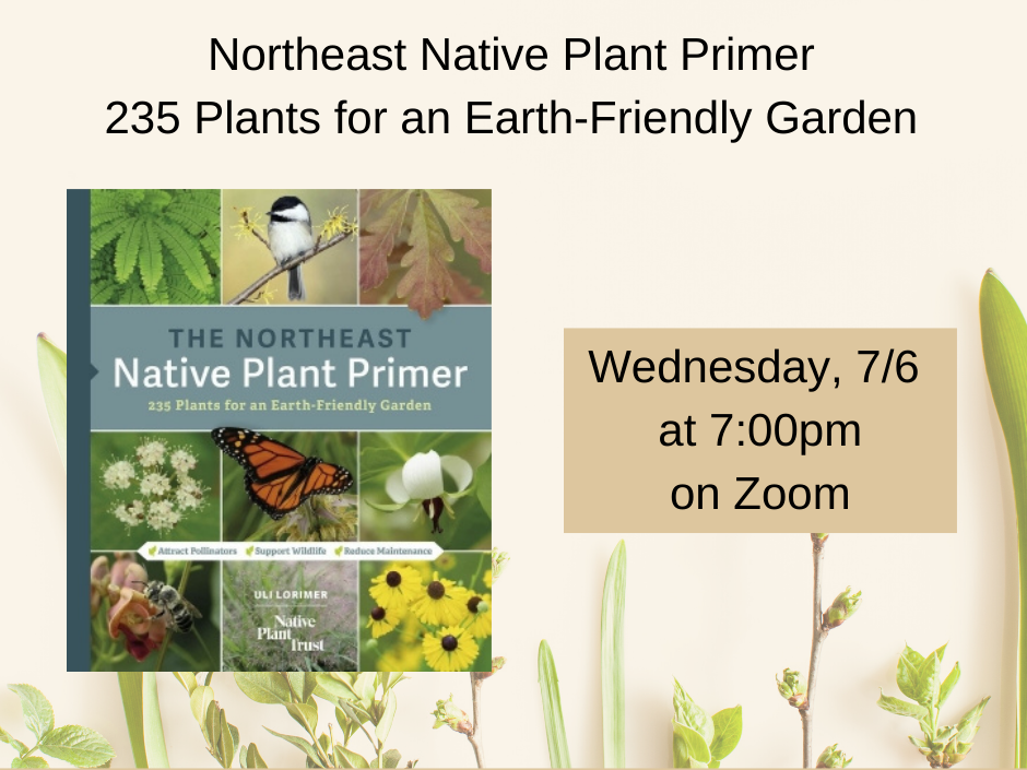 Northeast Native Plant Primer July 6th on Zoom