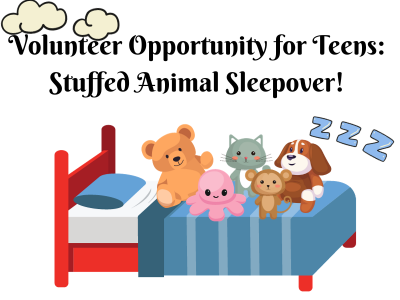 volunteer opportunity for teens stuffed animal sleepover