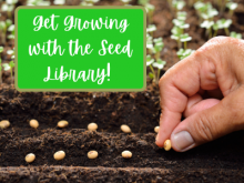 Get Growing with the Seed Library