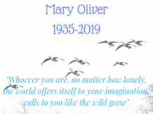 Remembering Mary Oliver