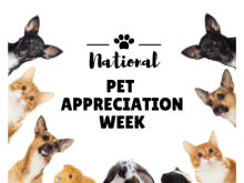 National Pet Appreciation Week