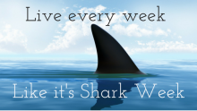 Live every week like it's Shark Week