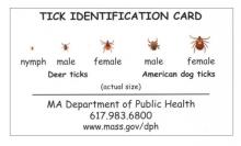 tick id card