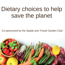 dietary choices to help save the planet