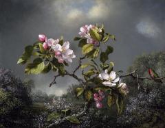 Martin Johnson Heade, Apple Blossoms and Hummingbird, 1871. Oil on board, 14 x 18 1/16 inches. Addison Gallery of American Art, Phillips Academy, Andover, MA. Museum purchase, 1945.4