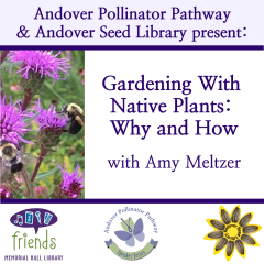 gardening with native plants