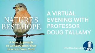 nature's best hope: a virtual evening with professor doug tallamy