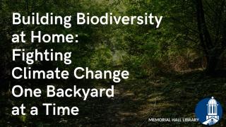 building biodiversity at home: fighting climate change one backyard at a time