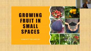 growing fruit in small spaces