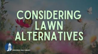 considering lawn alternatives