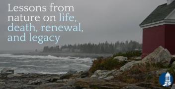 Lessons from Nature on Life, Death, Renewal, and Legacy