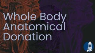 Whole Body Anatomical Donation